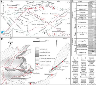 Geochemical characteristics of Cambrian bitumen and Cambrian-Ordovician source rocks in the Keping area, NW Tarim Basin